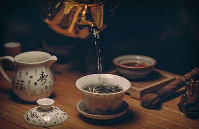 茶葉的栽培技術