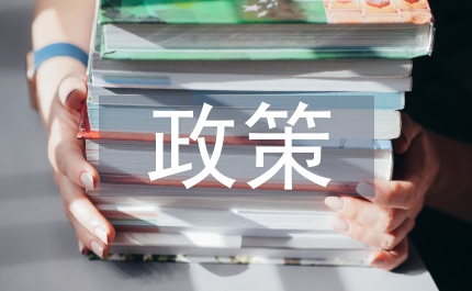地方政策決策模式