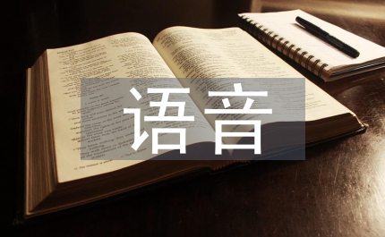 語音實訓總結