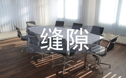無(wú)縫隙稅收征管