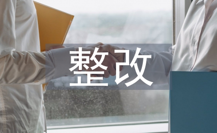 作風建設整改成效