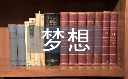 夢想和現實哲學