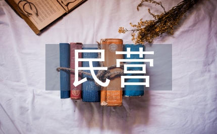 民營(yíng)醫(yī)院營(yíng)銷(xiāo)管理研究