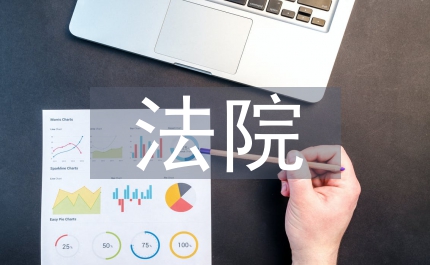 法院書記業務學習個人總結