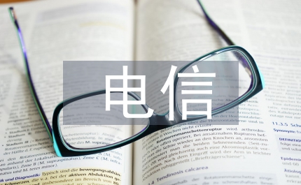 電信公司任副總經理個人年終總結