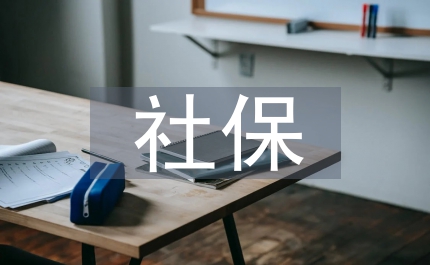 社保審計(jì)論文