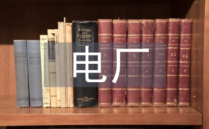 電廠宣傳工作計劃