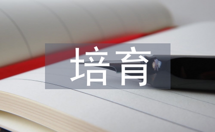 小議甜玉米培育技術