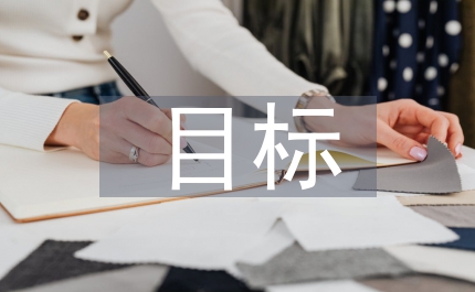 政府審計目標分析論文