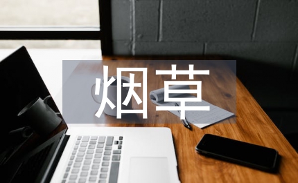 煙草局發(fā)展工程投資項(xiàng)目檢查方案