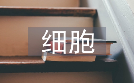 淺談特大細胞癌癥的檢測辦法