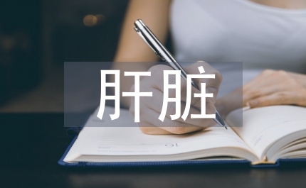 正常肝臟微循環